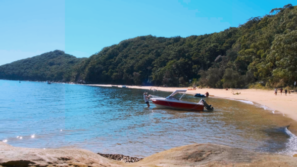 Central Coast Buyers Agent Christmas Holiday Buying Property